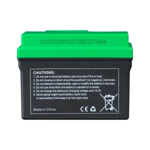 Аккумулятор FUBAG li-ion 3Ah для инверторного генератора TI 11000 A ES (арт. 646211) купить в Магадане